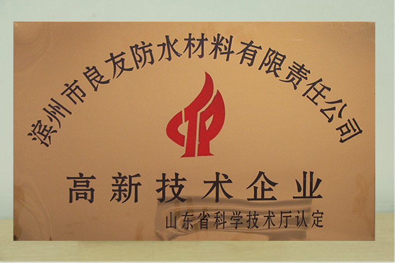 山東省高新技術企業