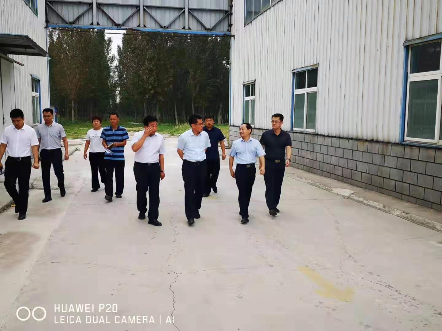 濱城區領導關心建筑防水材料產業的發展